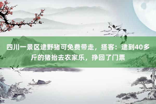 四川一景区逮野猪可免费带走，搭客：逮到40多斤的猪抬去农家乐，挣回了门票